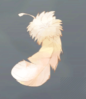 浮竜の羽毛画像