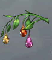 大樹の一雫画像