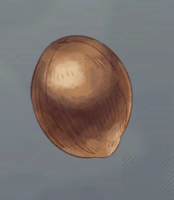 パルマの実画像