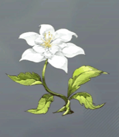 深緑の月華画像