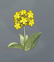 陽気な蜜花画像