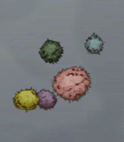 キノコパウダー画像