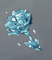 アイスカーネーション画像