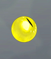 ハンターアイ画像