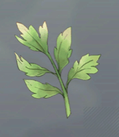 マナリーフ画像