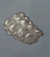 王ワニの防刃革画像