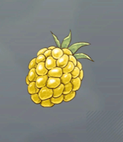 月夜のベリー画像