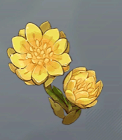 虚妄の祝福画像