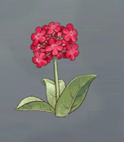 病忘れの花画像