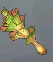 ナンジャコレ画像