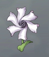 ウインドミューレ画像