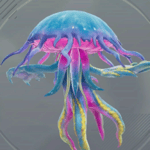 ブルーテンタクル画像