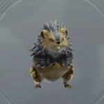 ジュエルキーパー