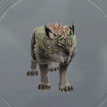 ムーアタイガー画像