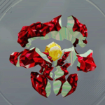 ストームエレメンタル画像