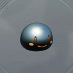 シルバーぷに画像