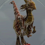 スカーミッシャー画像