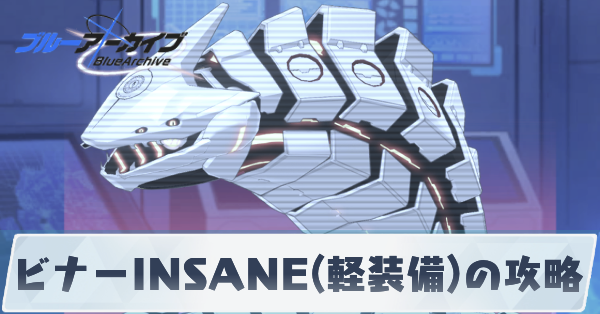 ビナーINSANE軽装備の攻略
