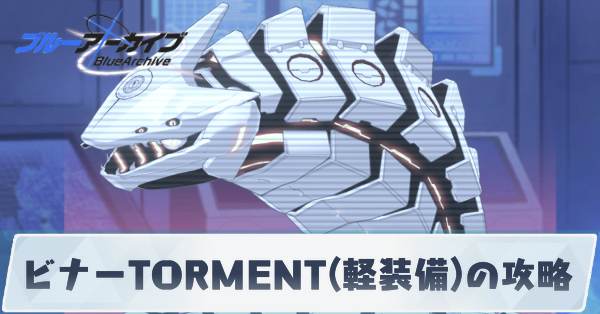 ビナーTORMENT軽装備の攻略