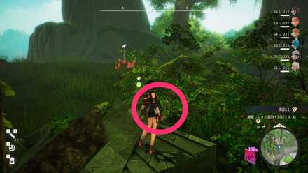 木に隠れた宝箱