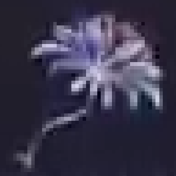 ツェンドレリス画像