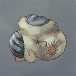 堅牢な化石画像