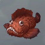 ロックフィッシュ画像