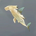 メイスフィッシュ画像