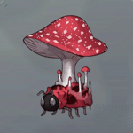 キノコモドキ画像