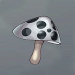 雨除けの銀傘画像