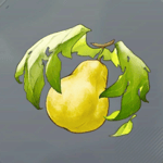 ホウリの実画像