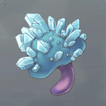 宝晶セオイダケ画像