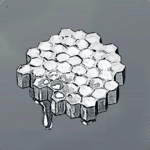 銀ハチの巣画像