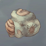 古代生物の化石画像