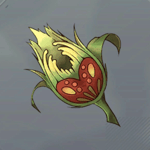 フュメパルファム画像