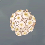 ゼステンウルフ画像