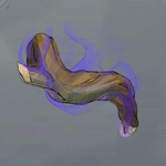 怪しげな香木画像