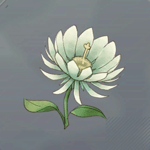 ドンケルハイト画像