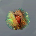 スクラップうに画像