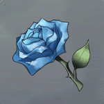 セレストロジェ画像