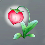 ネンシン草画像