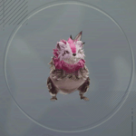 ヘルチェリー画像