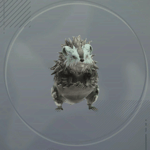 クランチオール