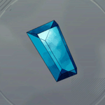 プロテクタイト画像