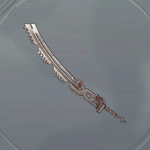 恋都仁華刀画像