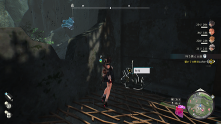 苔むした森の遺宝