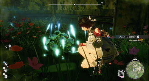 アルスタリアの花