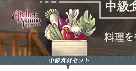 中級食材セット