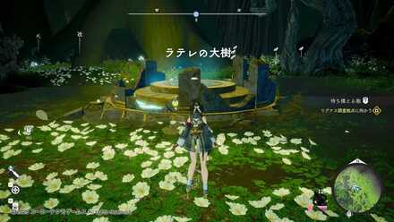 ラテレの大樹解放後に発生