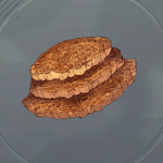 ビーハイブン画像